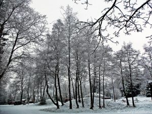 Escocia en invierno Trossachs