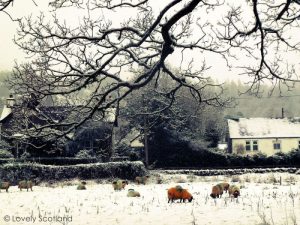 Escocia en invierno Trossachs