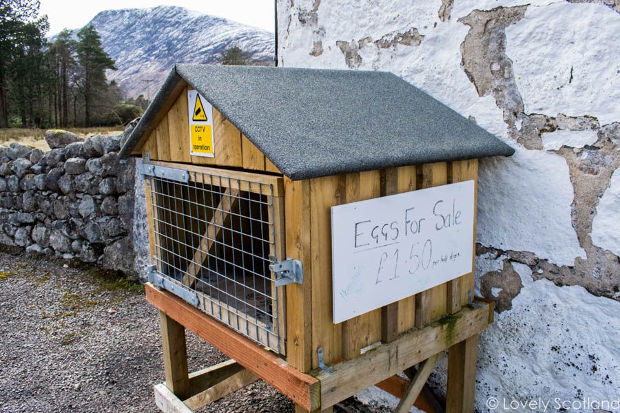 glen etive honesty box