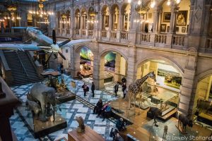 que hacer en escocia kelvingrove