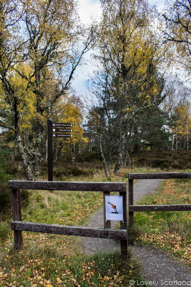 Braemar Royal Deeside Cairngorms