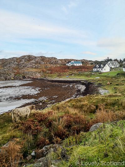 fionnphort isla de Mull