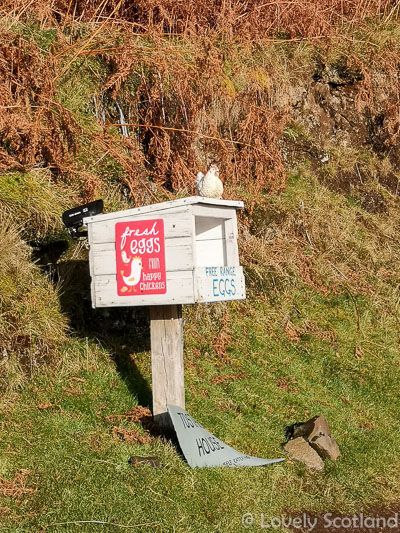 Mull honesty box