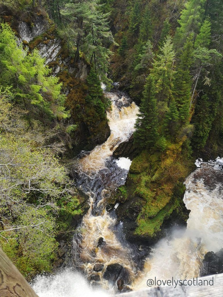 Plodda Falls