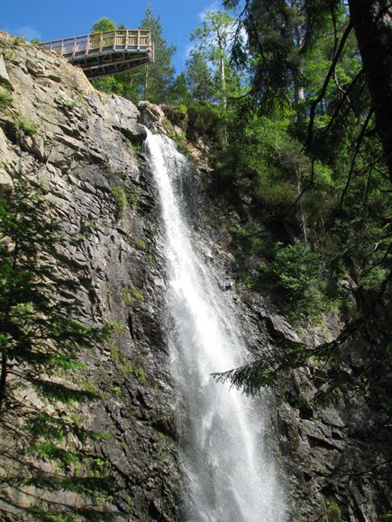 Plodda Falls 
